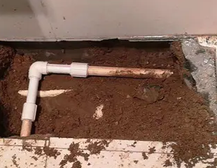 商洛测漏水哪家好